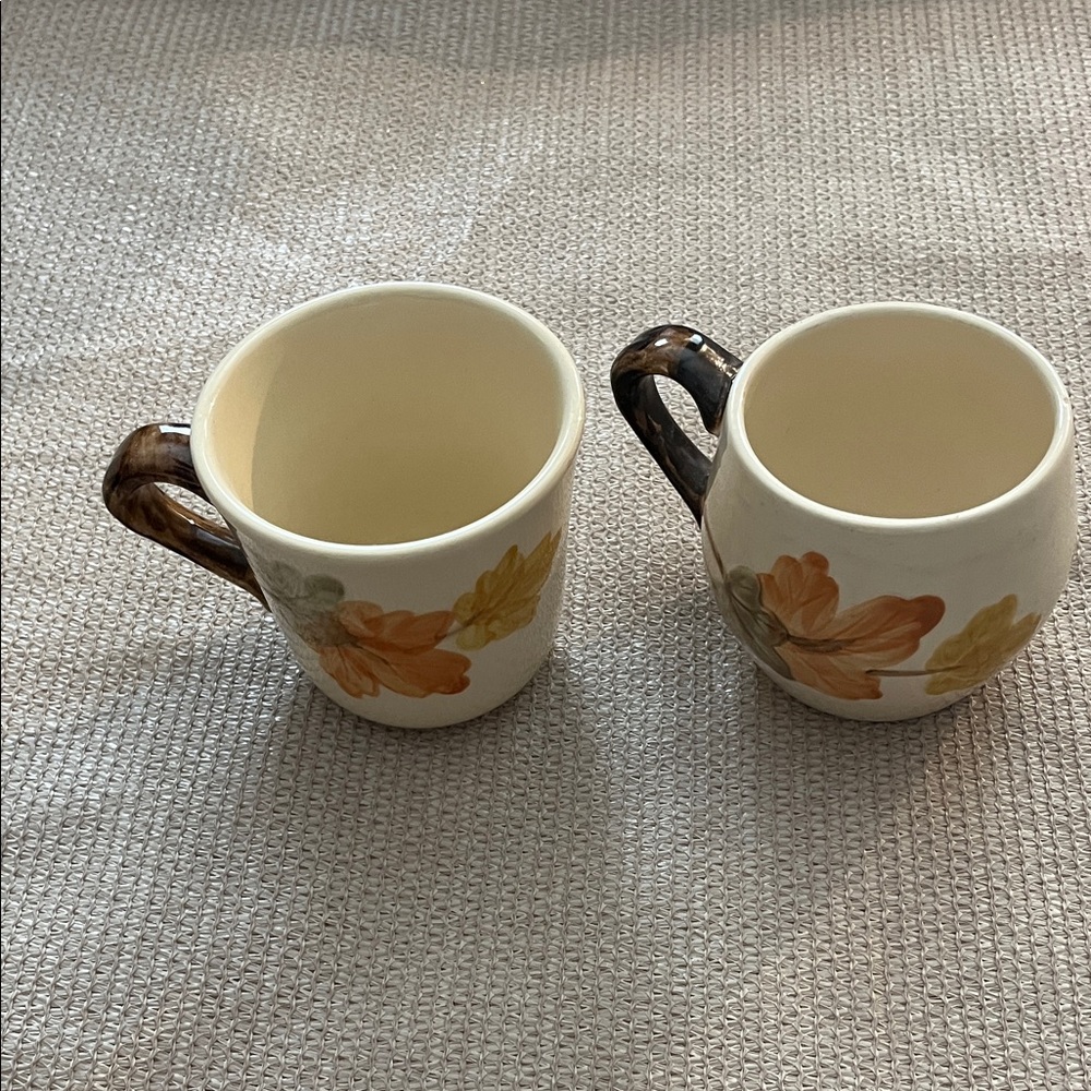 Elegant Floral Mug Set - Cream and Brown Franciscan